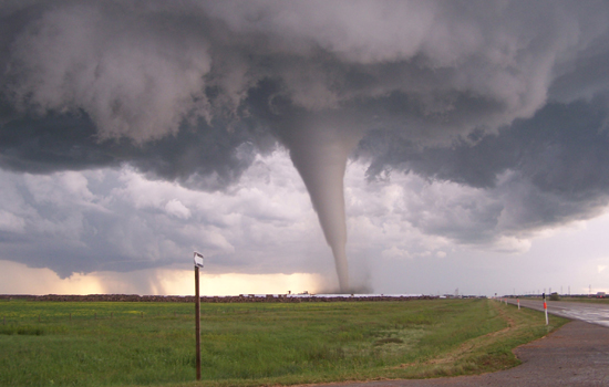 Twister